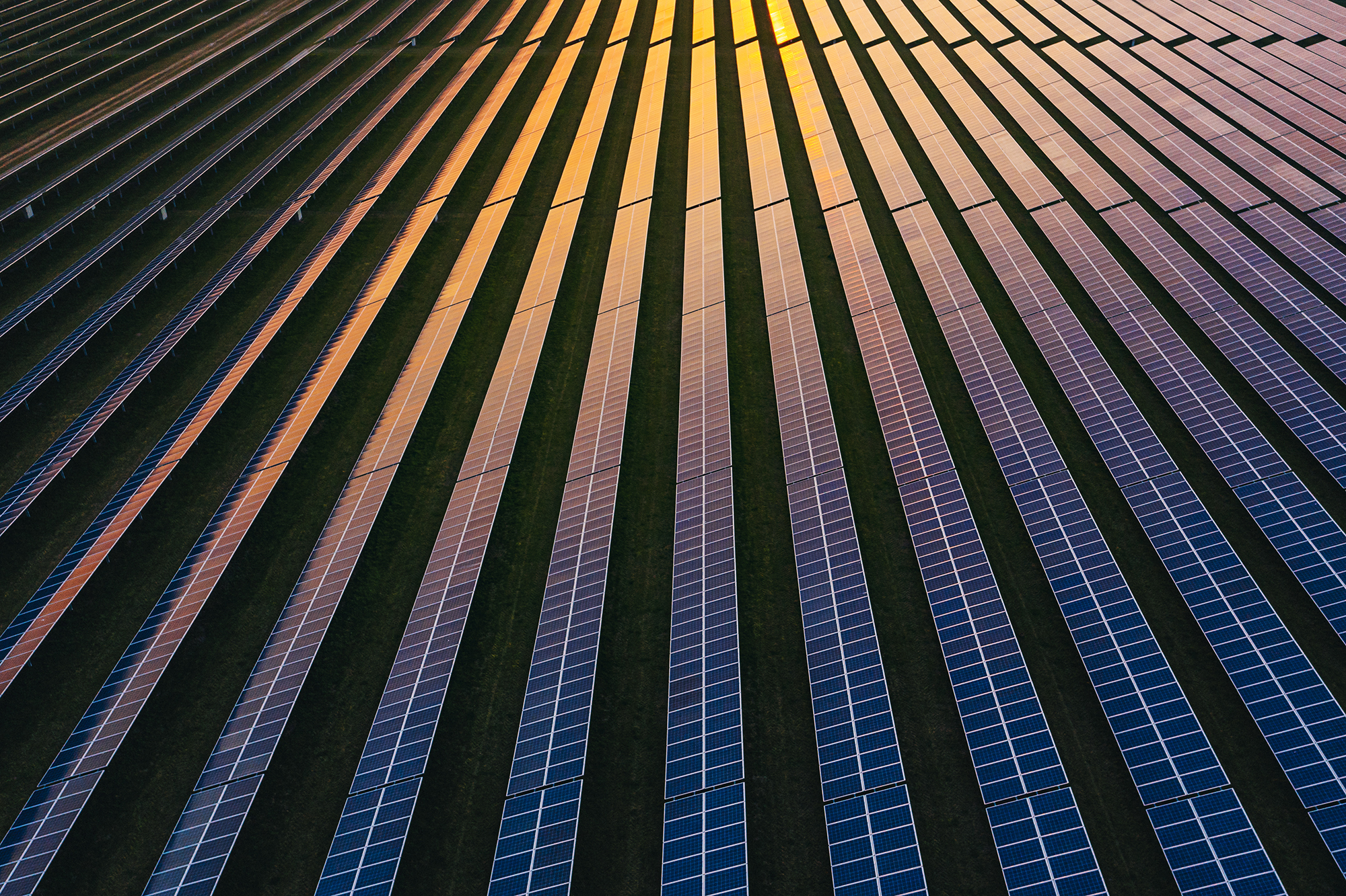 Solar panels at dusk